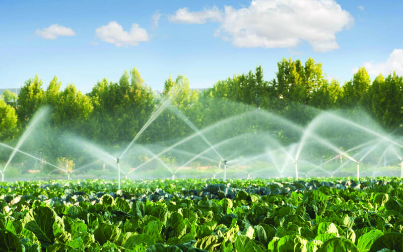 trattamento acqua settore agricolo e vivai